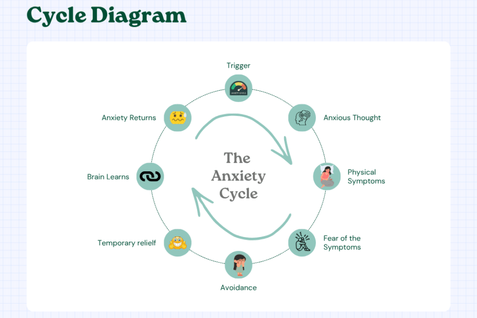 The Anxiety Cycle