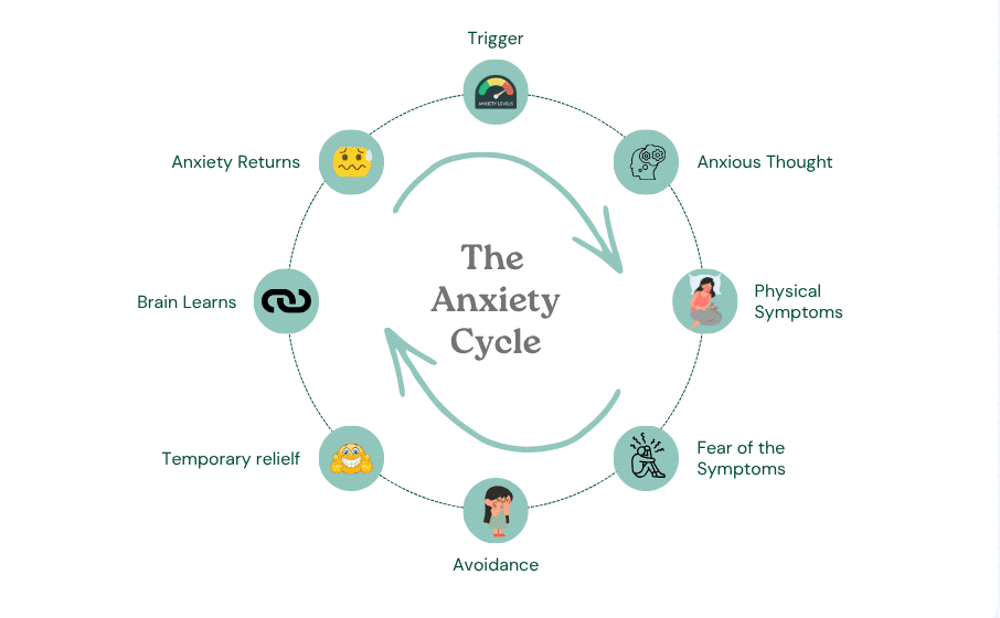 The Anxiety Cycle showing how anxious thoughts, symptoms, fear, avoidance and temporary relief keeps anxiety going